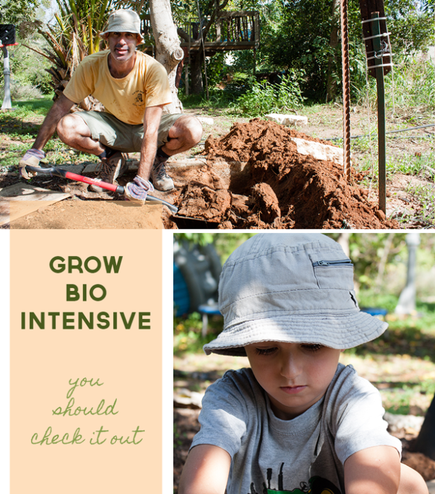 Grow Soil and Plants