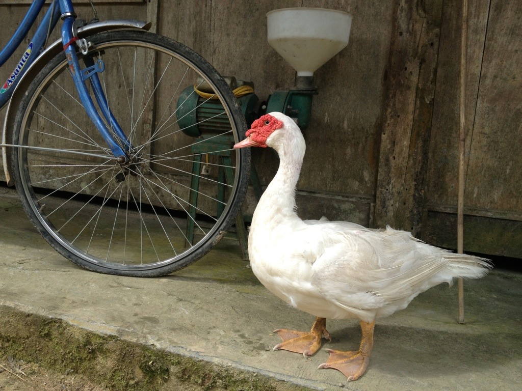 20121029-173007.jpg