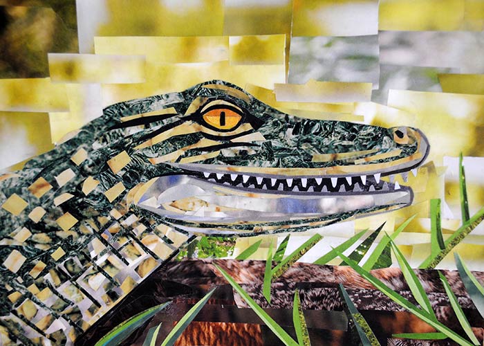 Later Alligator (5″x7″) | Megan Coyle: Artist & Illustrator