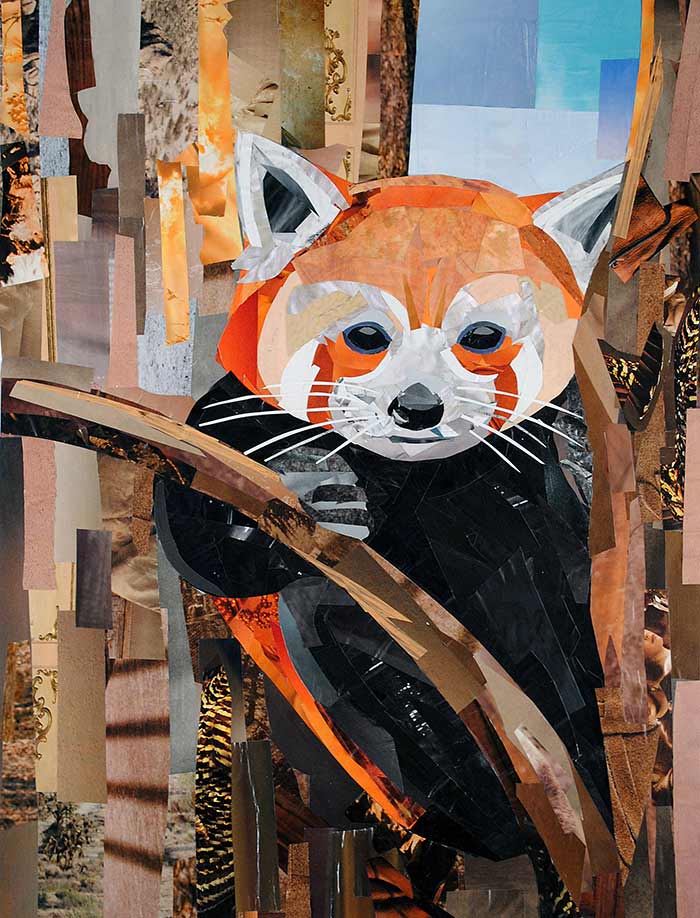 red panda | Megan Coyle: Artist & Illustrator
