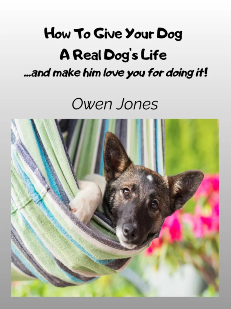 Dogs Life Eng lores