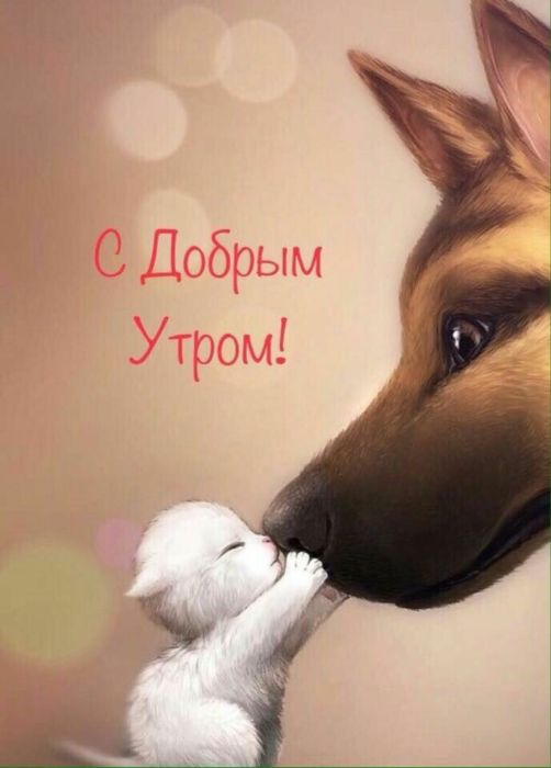 красиво нарисованные картинки утренний поцелуй