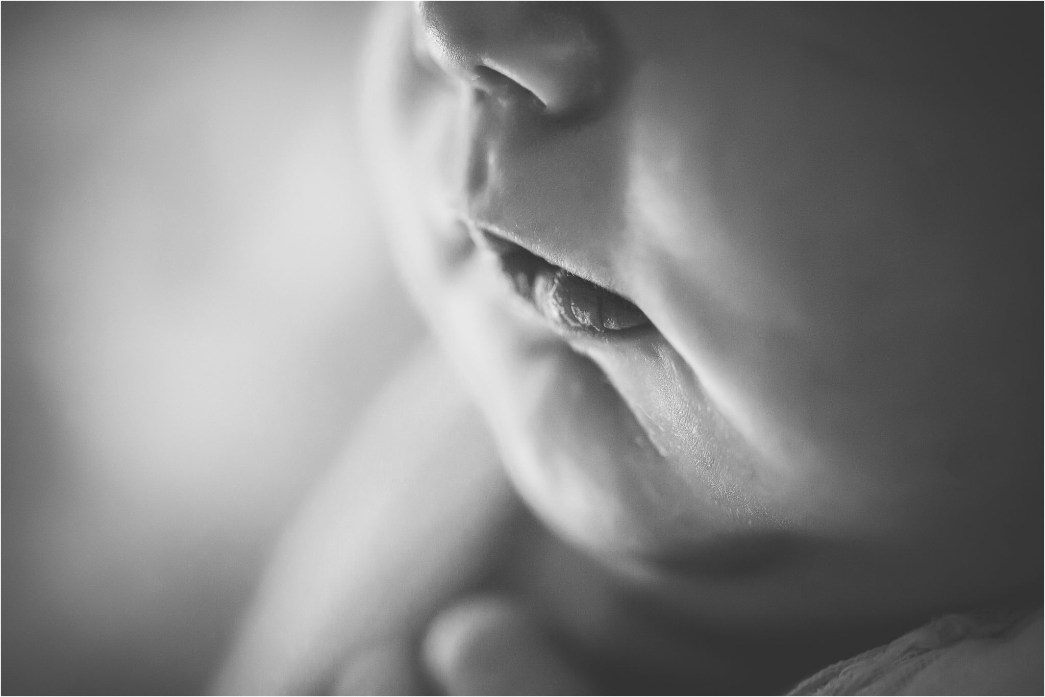 Finn Ruby, Meghan Mace Photography, Michigan Newborn Photographer, Rochester Hills Michigan Photographer