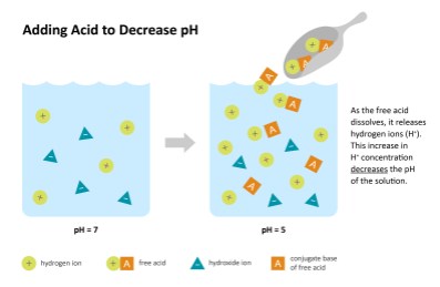 Technical illustration 2