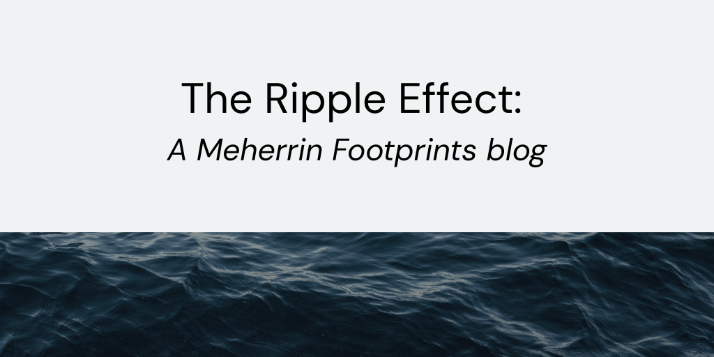 The Ripple Effect: A Meherrin Footprints Blog