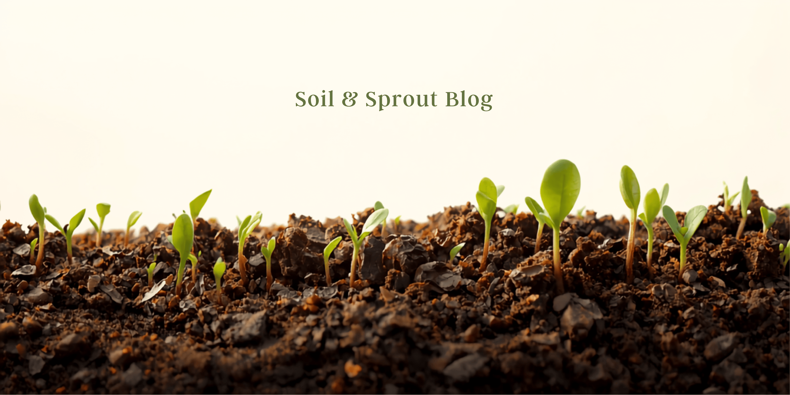 Soil & Sprout Blog