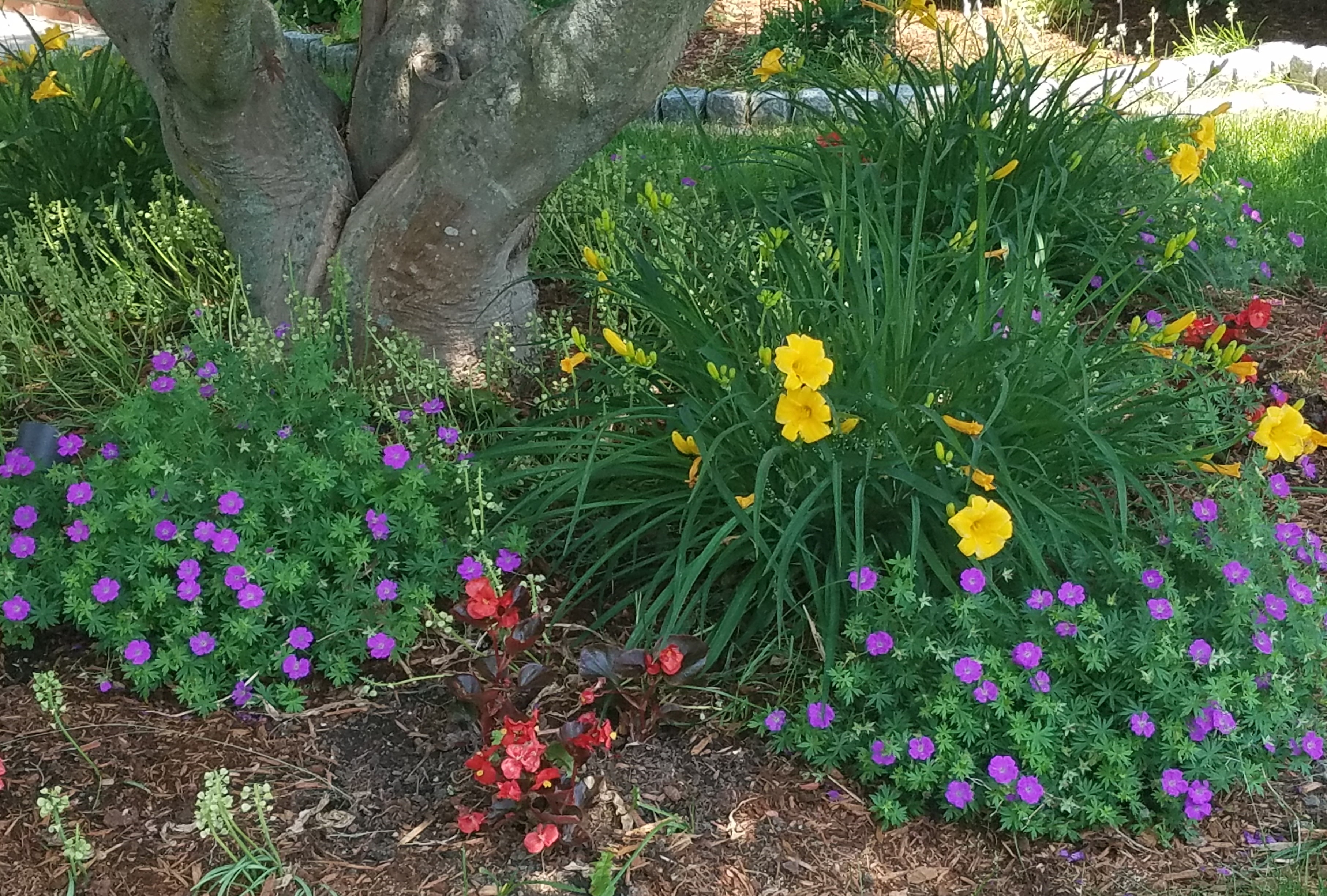 Flowers Display © Mary E. Hopper 2024