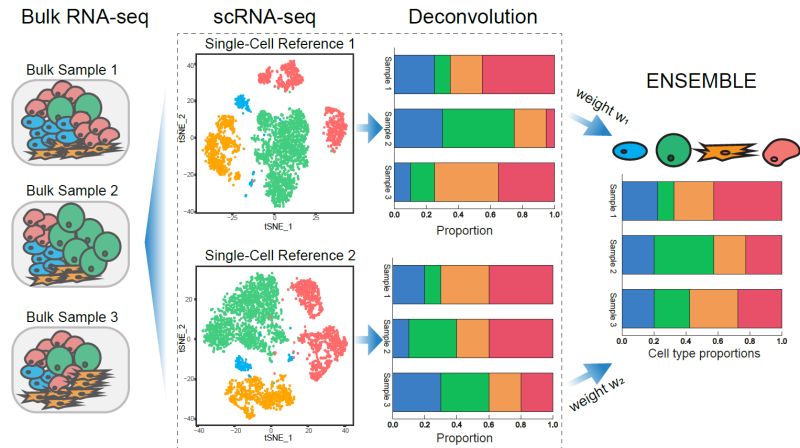 Github Meichendong Scdc Scdc - Stunning HD Colorful Backgrounds | Free Download