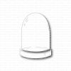 Gummiapan - Glass Dome