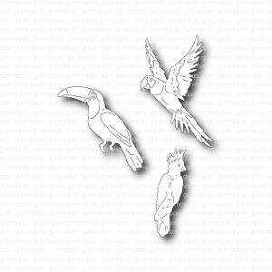Gummiapan - Wild Birds