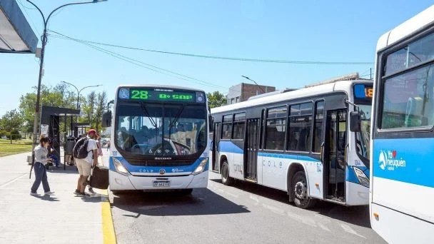 Cómo tramitar el Boleto Estudiantil Neuquino Gratuito 2025