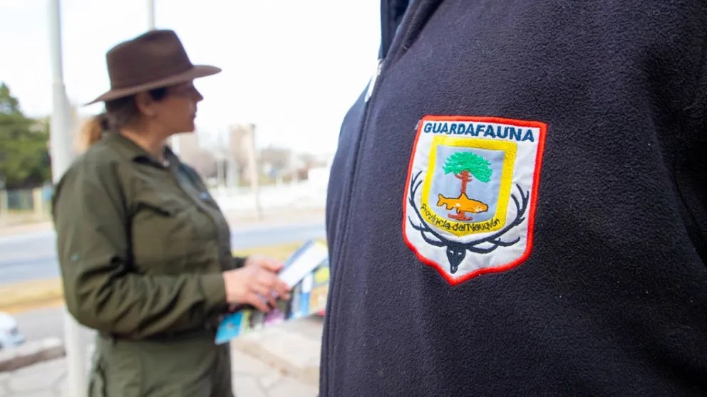 Fauna incautó carne de ciervo colorado no apta para su comercialización