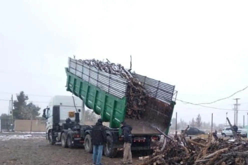 Se distribuyeron 400 metros cúbicos de leña en barrios sin red de gas