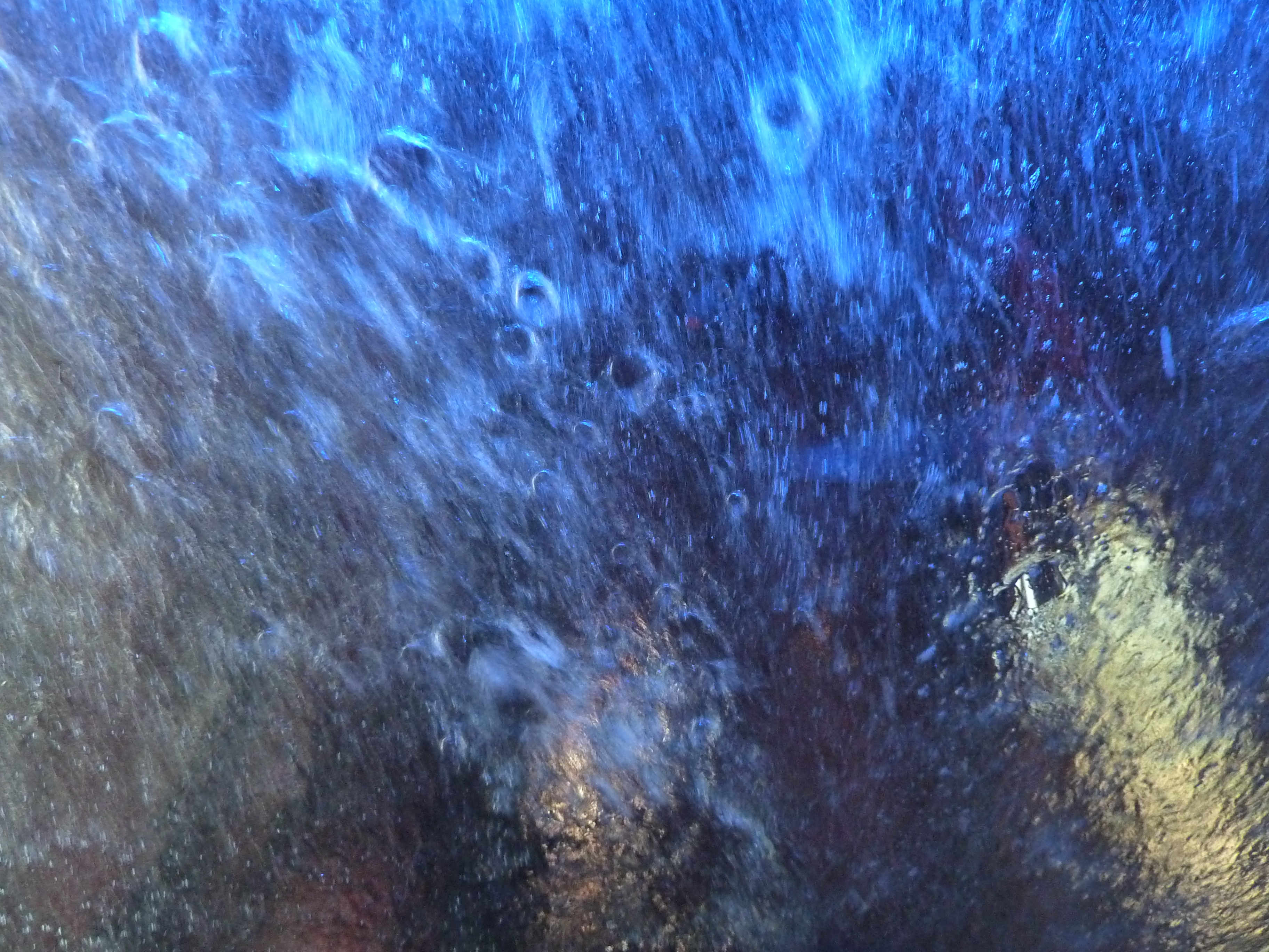P1170239