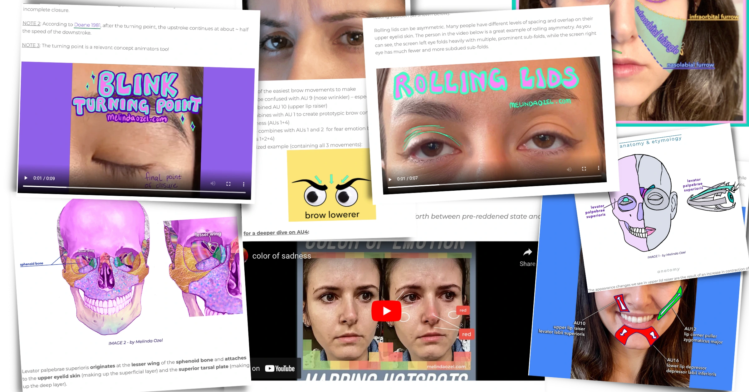 Collage of preview images of premium blog content