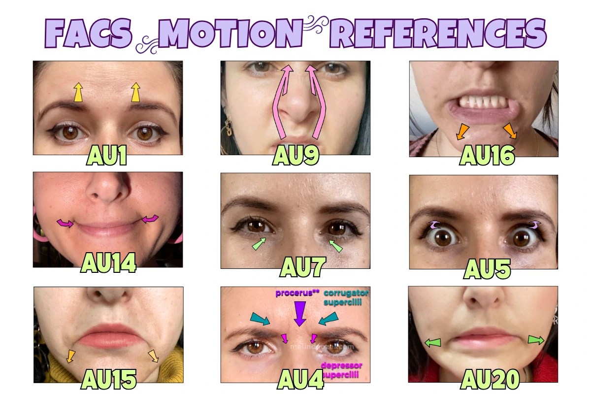 Preview of the FACS (Facial Action Coding System) Cheat Sheet showing sample action unit motion references