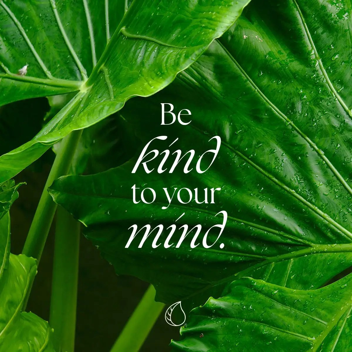 Be-kind