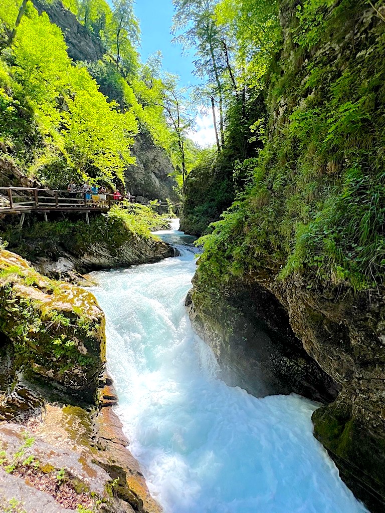 Vintgar Cows Alps Mellow Wanderer - Ultra HD Light Art - 8K