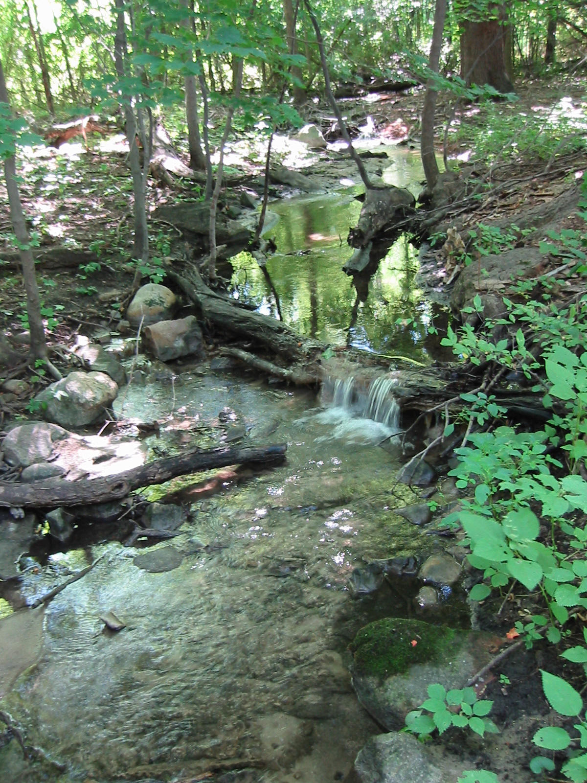 bullet-brook-riffle