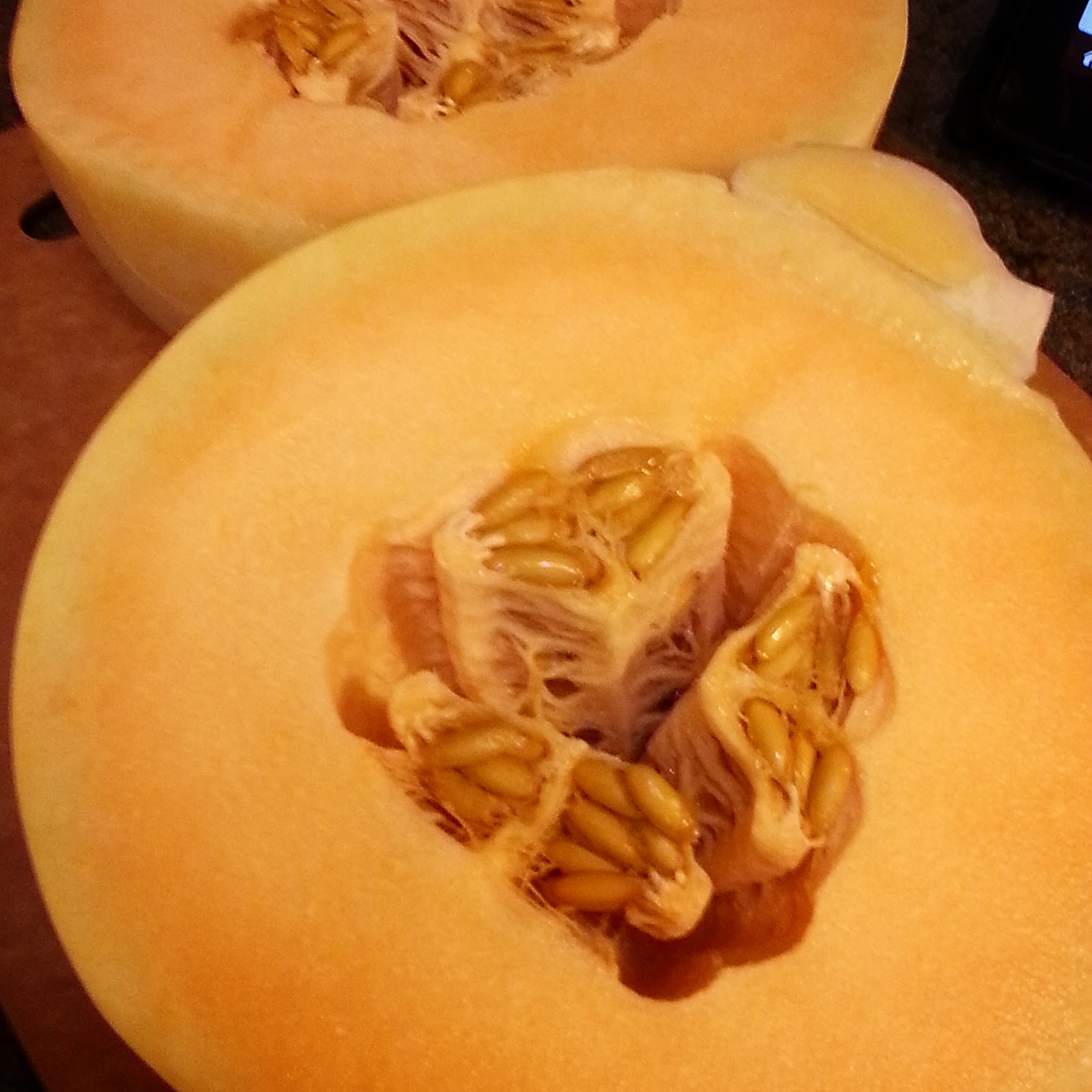 Orange Flesh Honeydew