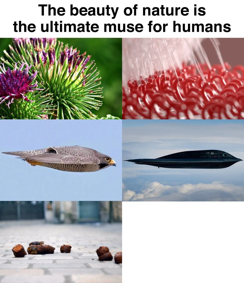 Never Has Been Meme Generator - Ocean Picture Collection - Desktop Quality