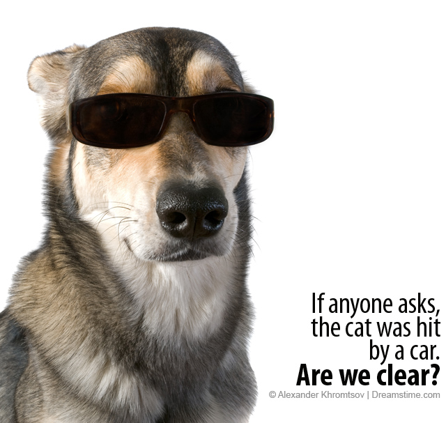 mob dog