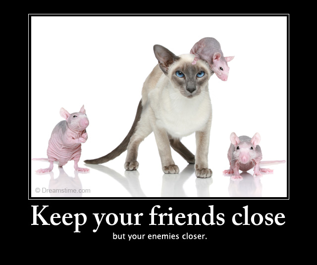 cat mouse friendship quotes
