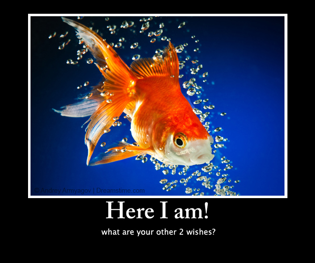 goldfish