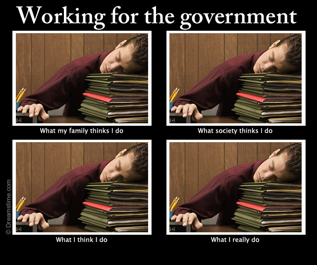 government job meme