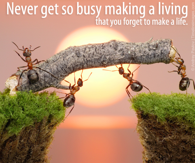 life quotes