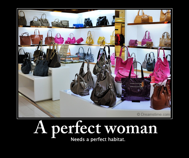 perfect woman meme