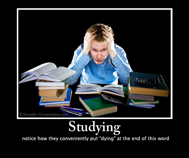 Studying.