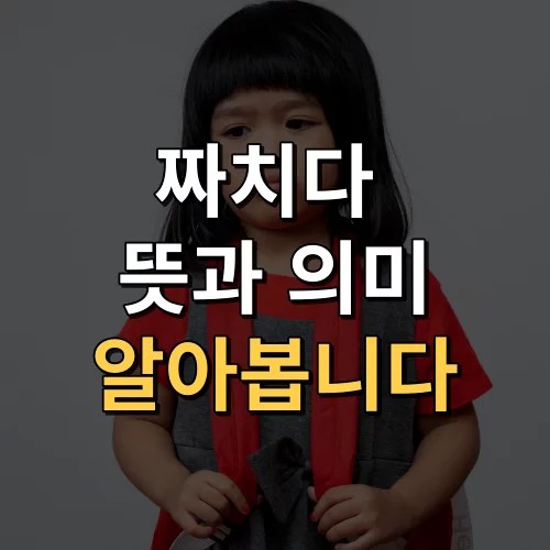짜치다 뜻 아시나요? 의미는 이것입니다. - 메모장