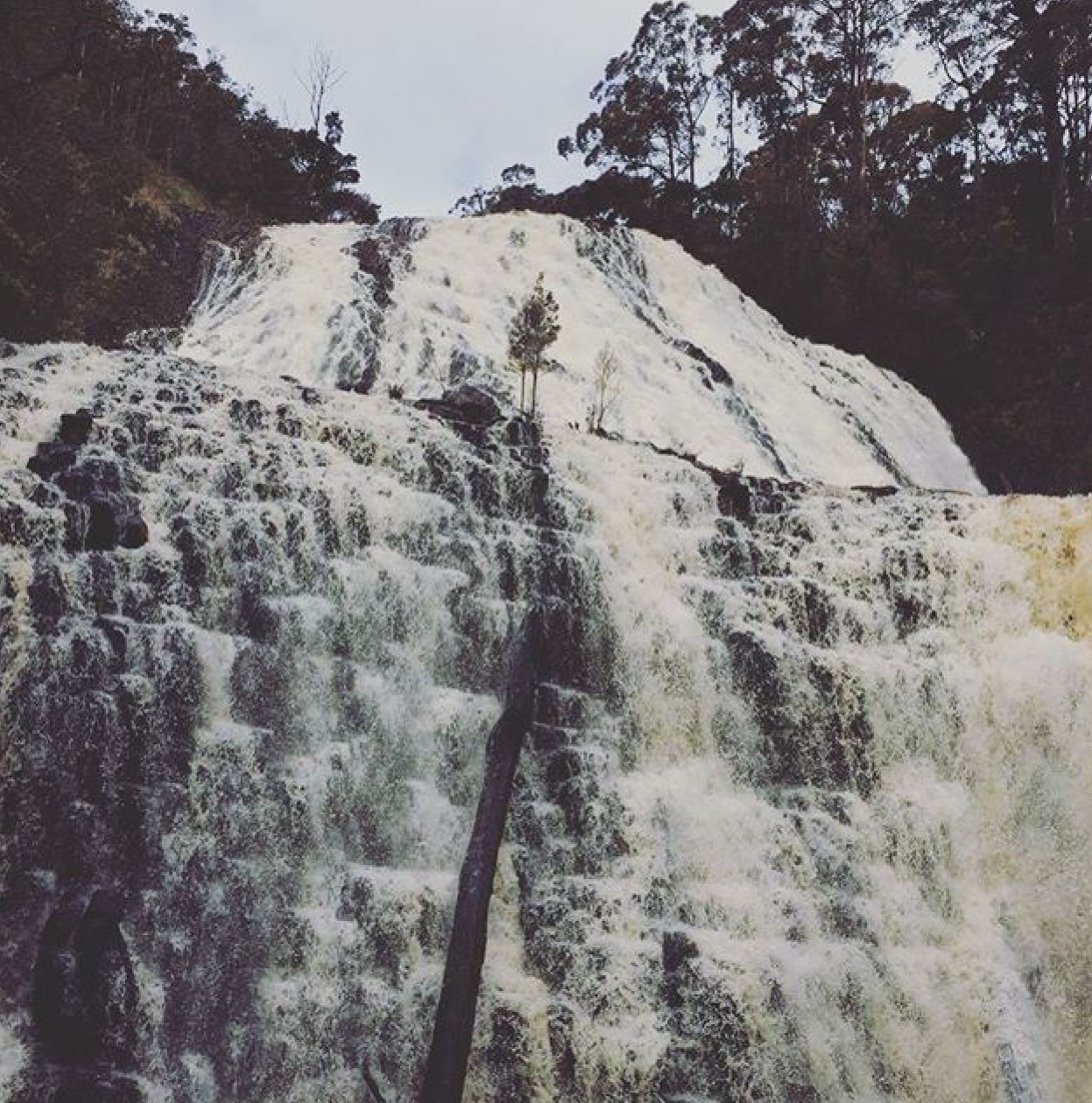 Dip Falls - Circular Head (Tasmania), Australia