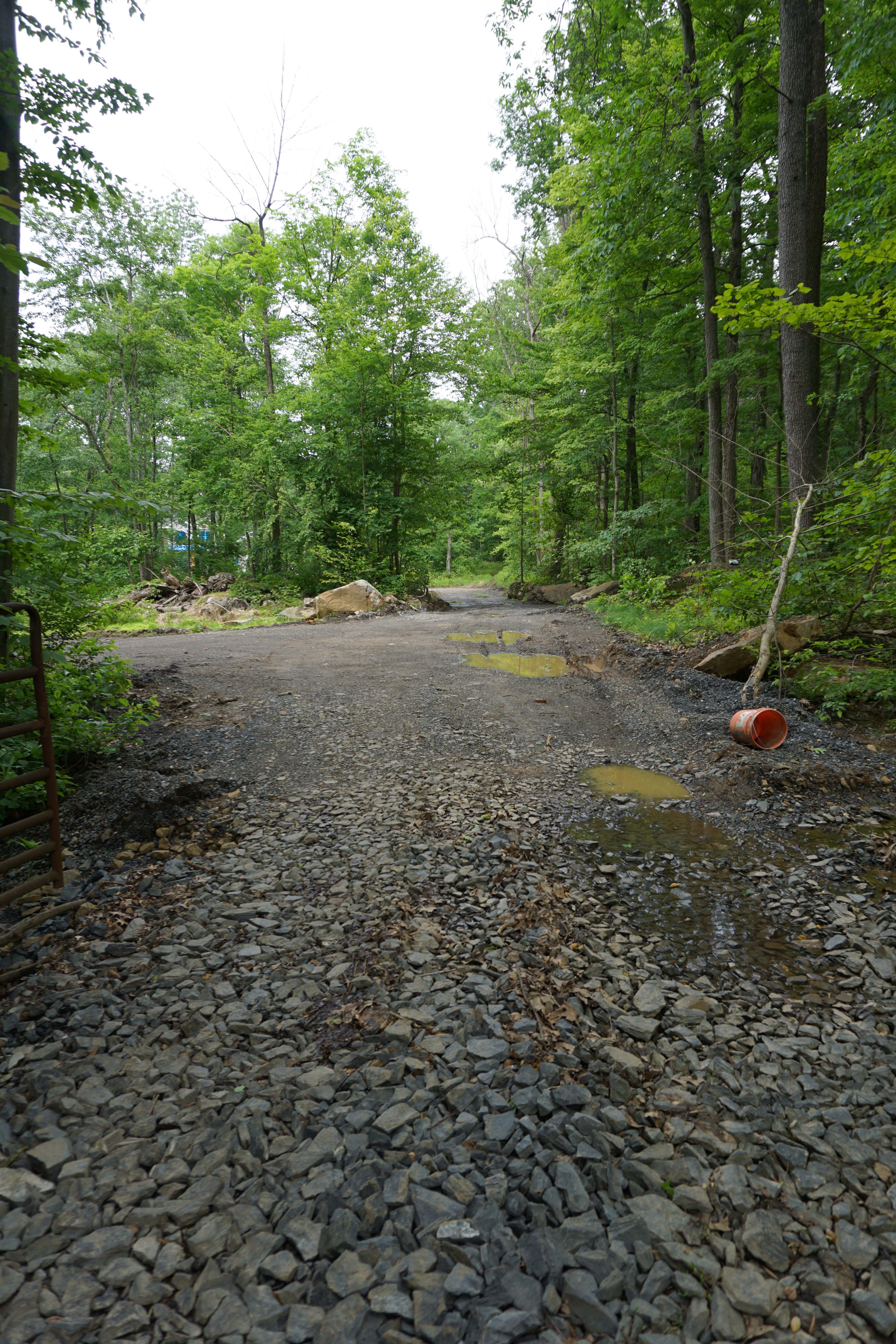 The start of our driveway