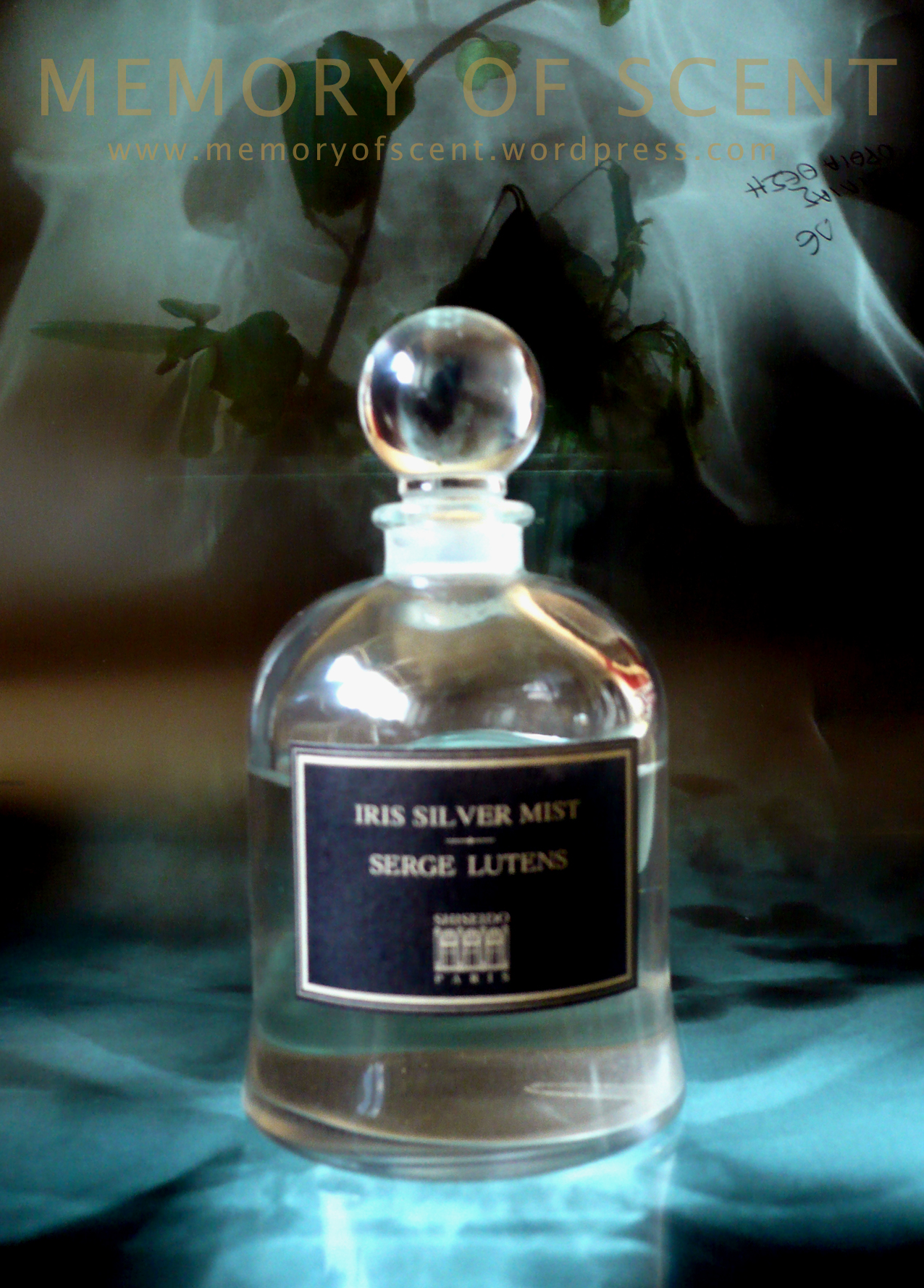 iris-2.jpg?fit=861,1200&ssl=1