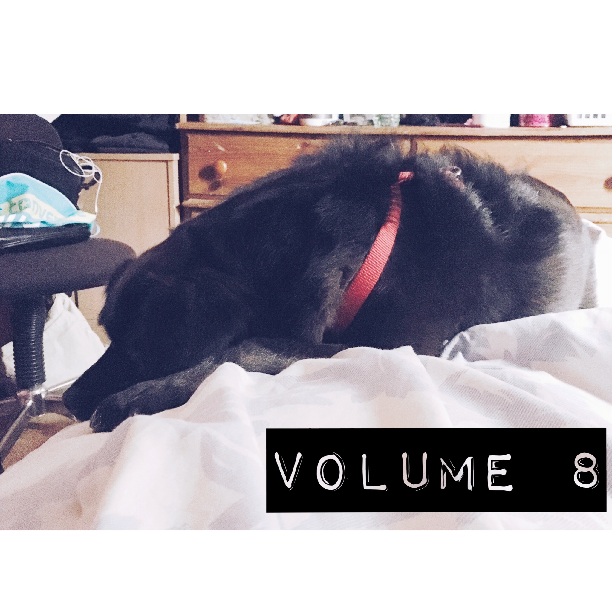 Sunday Currently | Vol. 7