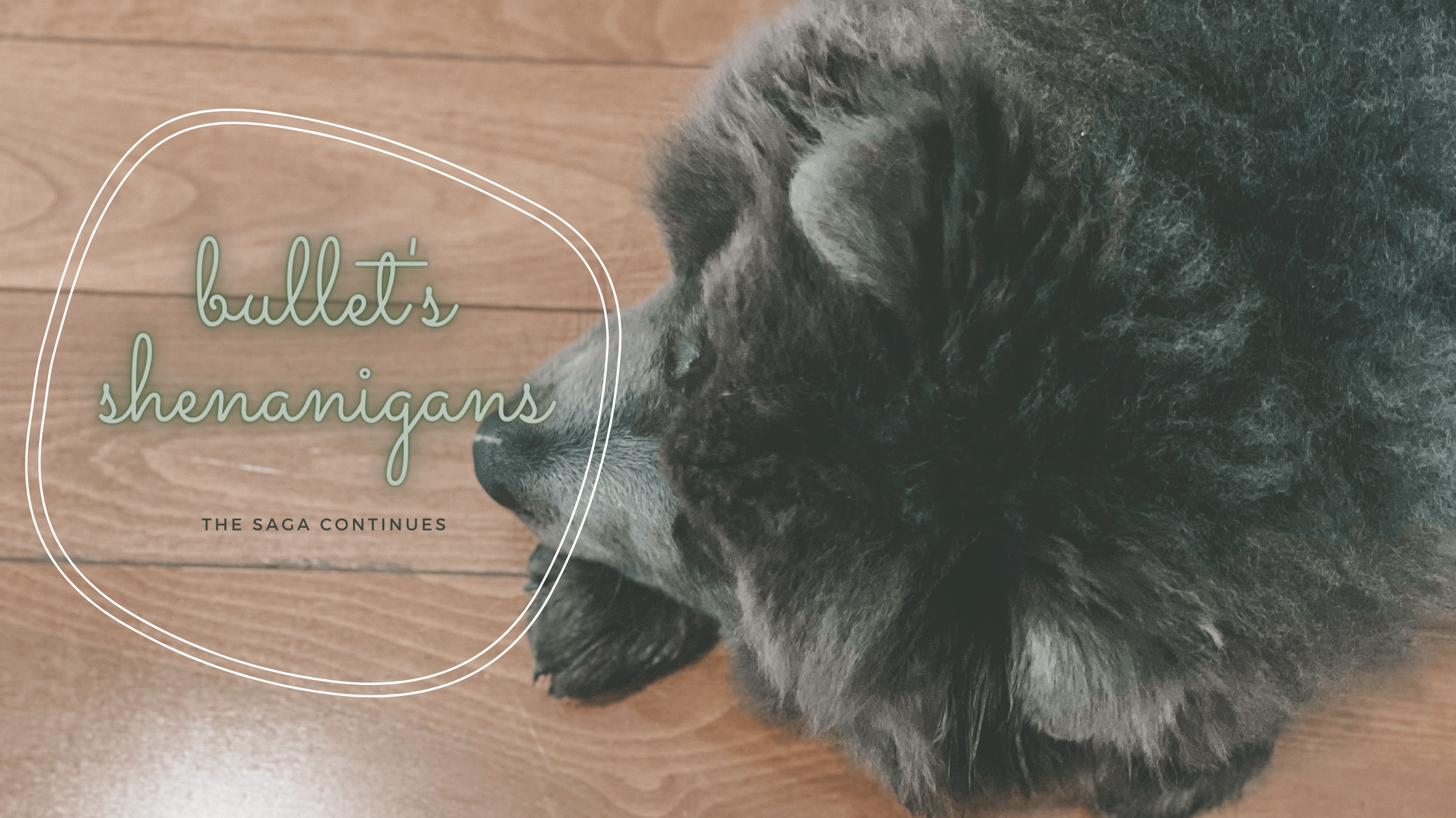 Another Bullet update, indeed