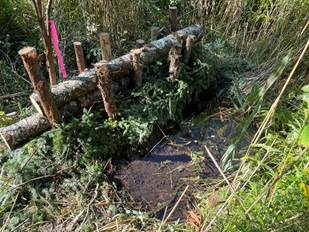 Crawford Brook Floodplain Restoration Project