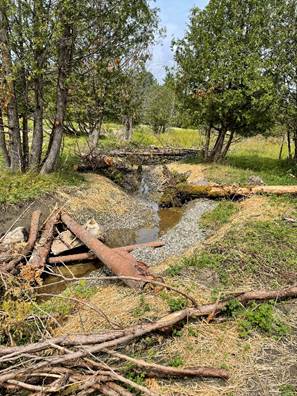 Upper Salem Hill Brook Floodplain Restoration Project