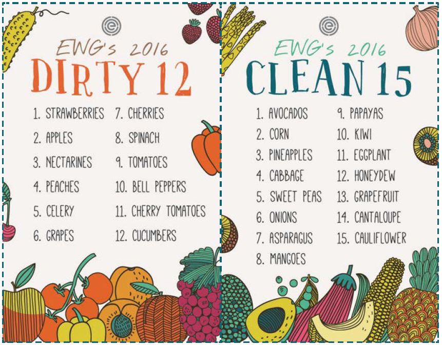 pic Dirty 12 Clean 15 mendocino coast clinics