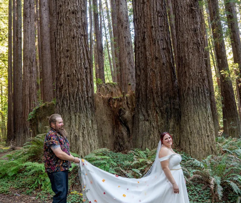 Photo of Bride and Groom in redwood forest