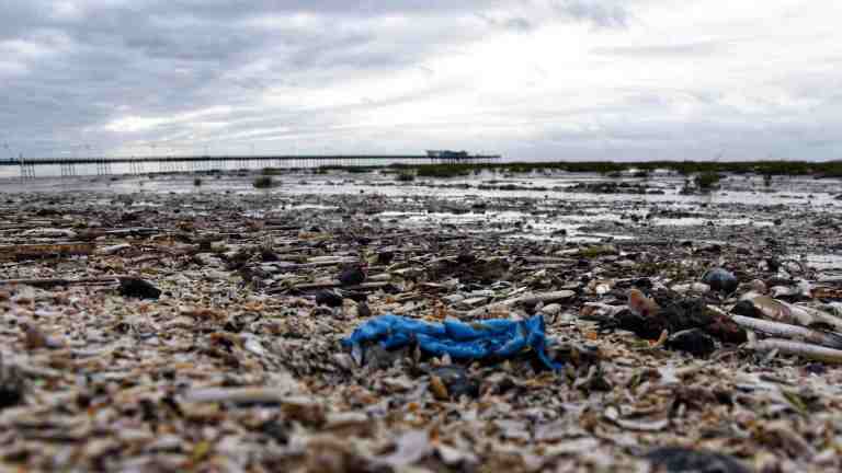 Marine ecosystems under threat: UN calls for stronger protection