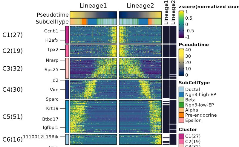 Rundynamicfeatures Rundynamicfeatures Scop - Download Gorgeous Ocean Photo | High Resolution