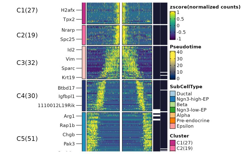 Rundynamicfeatures Rundynamicfeatures Scop - Light Image Collection - Retina Quality