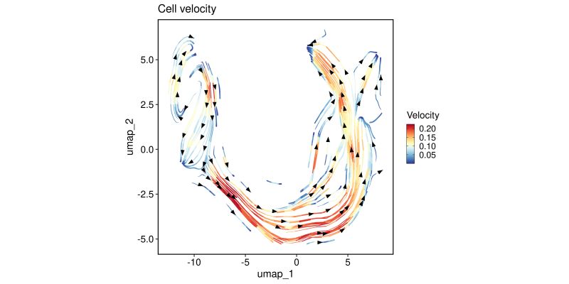 Annotate Single Cells Using Scmap Runscmap Scop - Premium Nature Art Gallery - High Resolution