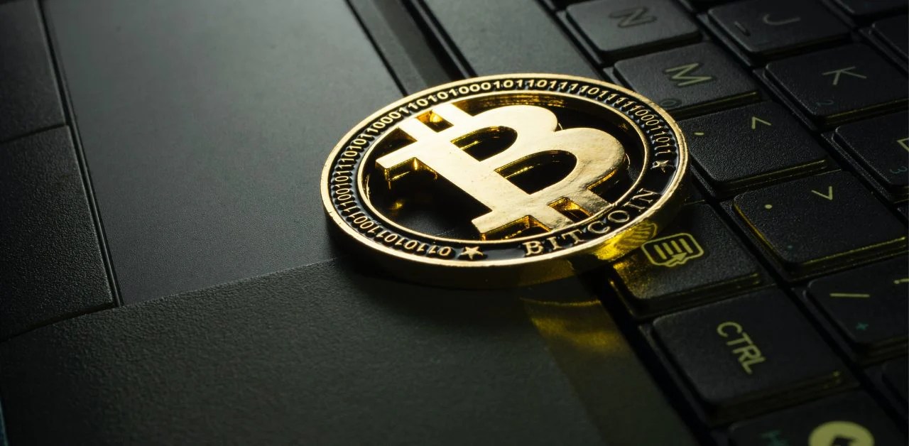 5 Coding Languages For Crypto Enthusiasts