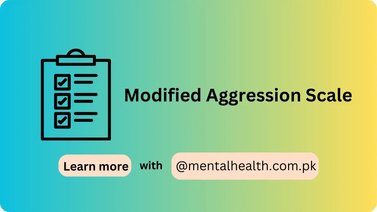 Modified Aggression Scale
