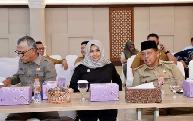 Jelang Nataru, Wabup Madina Ikuti Rapat TPID di Medan