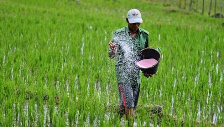 DPRD Kotim Tekankan Pentingnya Ketersediaan Pupuk Bagi Petani